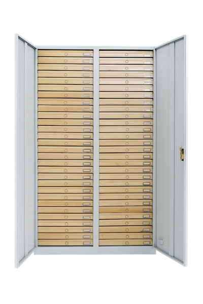 Gabinetto per campioni di insetti